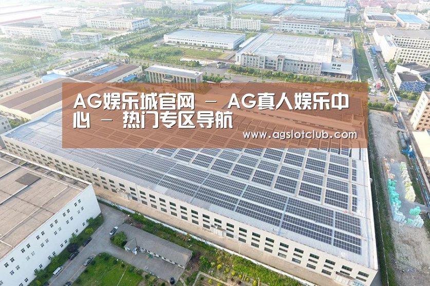 案例展示二