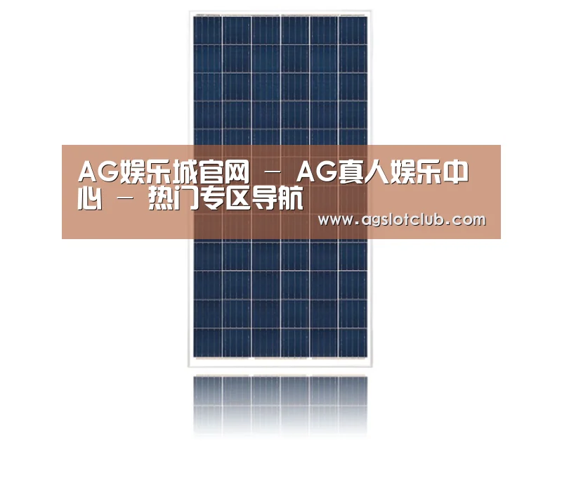 产品名称一