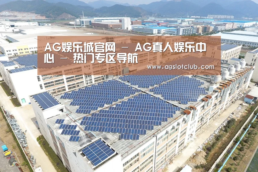 案例展示四