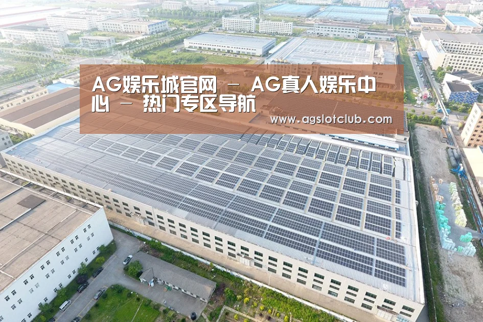 案例展示二