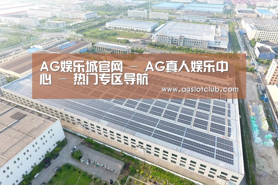 案例展示三