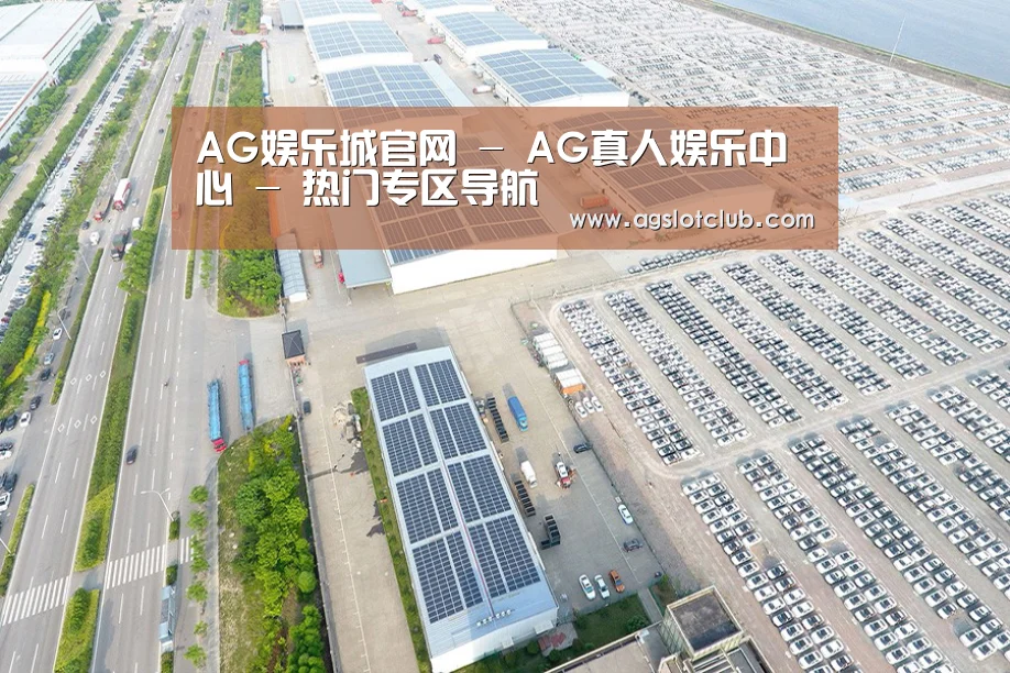 案例展示一