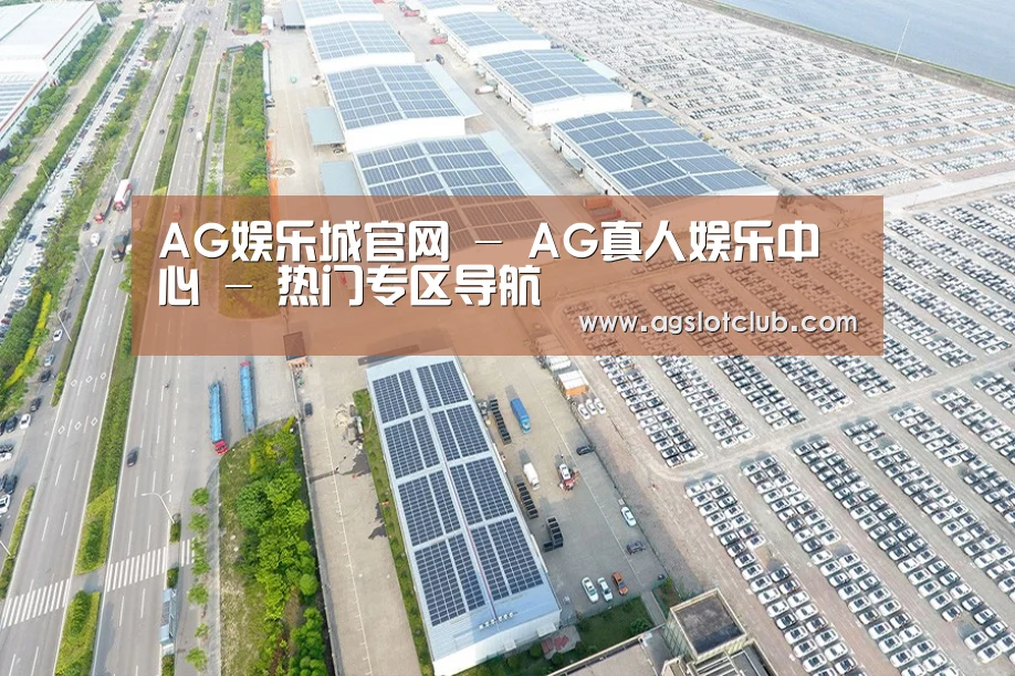 案例展示四