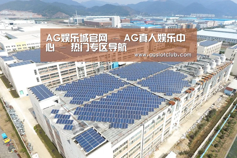 案例展示四