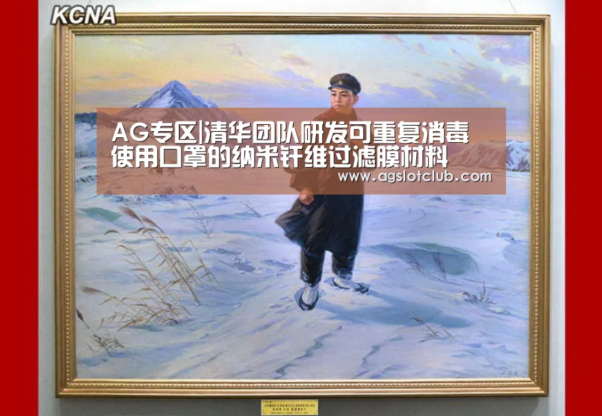 AG专区|清华团队研发可重复消毒使用口罩的纳米纤维过滤膜材料(图3) AG娱乐城