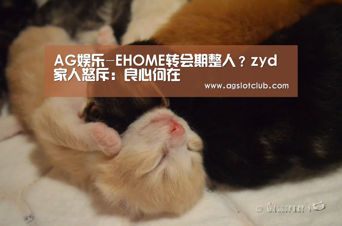 AG娱乐-EHOME转会期整人?zyd家人怒斥:良心何在(图2) AG导航