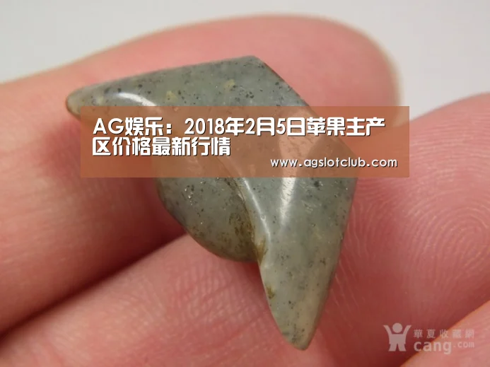 AG娱乐:2018年2月5日苹果主产区价格最新行情(图2) AG专区