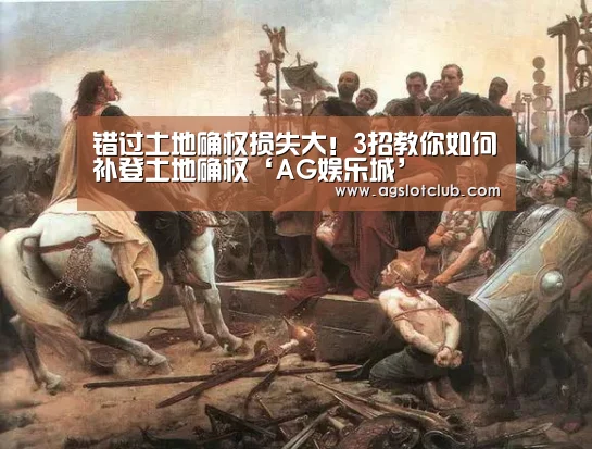 错过土地确权损失大!3招教你如何补登土地确权‘AG娱乐城’(图4) AG娱乐