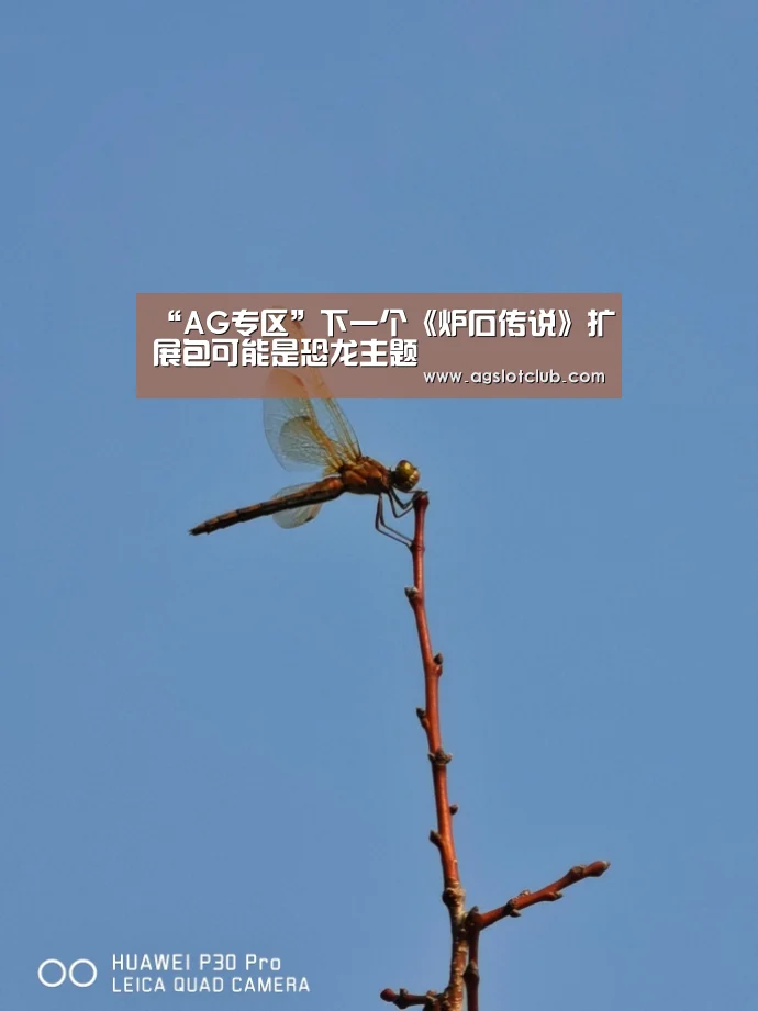 “AG专区”下一个《炉石传说》扩展包可能是恐龙主题(图3) AG专区
